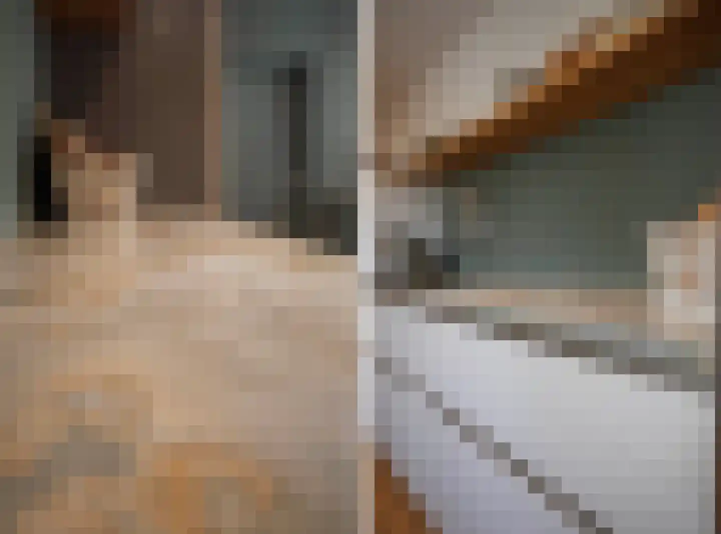 Rembrandtlaan 43 Velp thumbnail 23