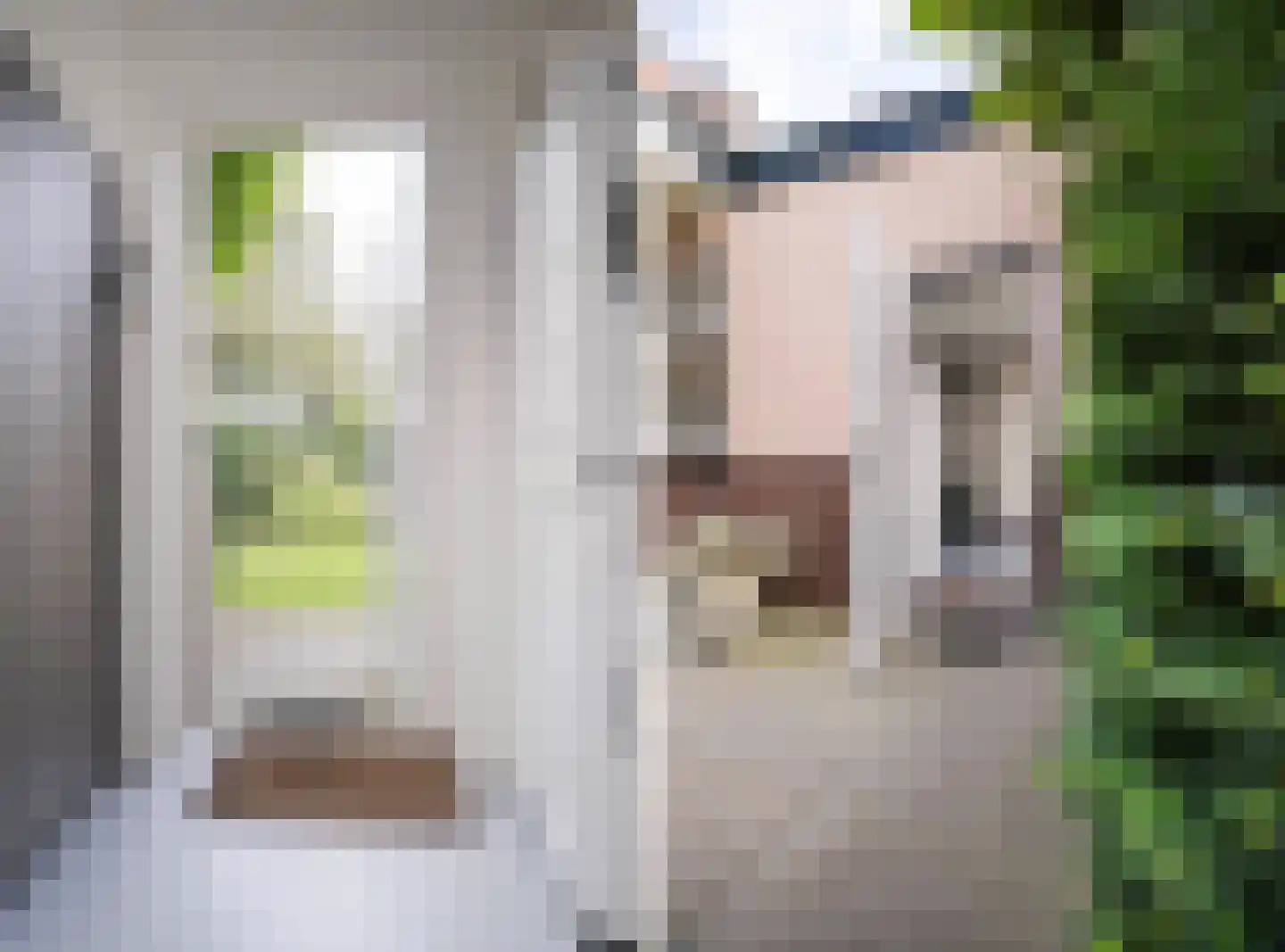 Rembrandtlaan 43 Velp thumbnail 27