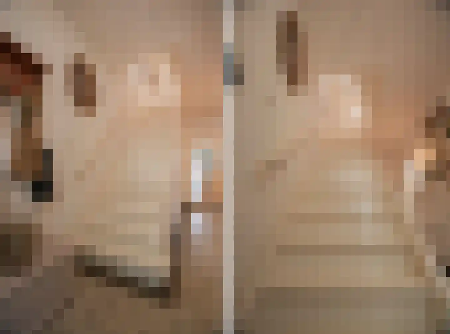 Rembrandtlaan 43 Velp thumbnail 31