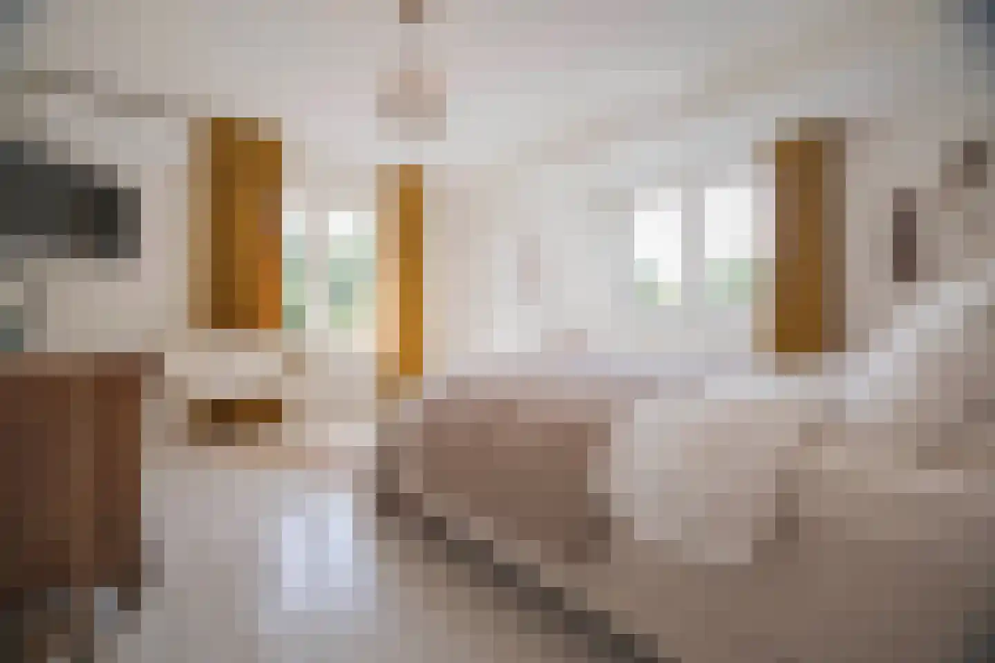 Rembrandtlaan 43 Velp thumbnail 34