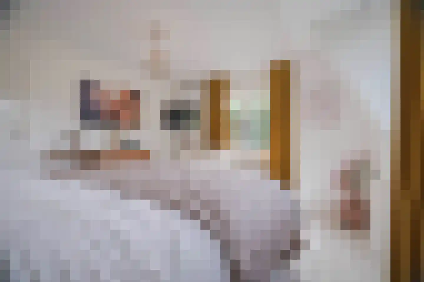 Rembrandtlaan 43 Velp thumbnail 37