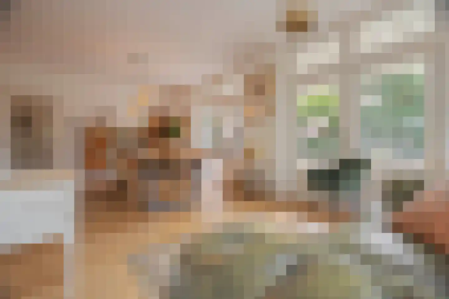 Rembrandtlaan 43 Velp thumbnail 4