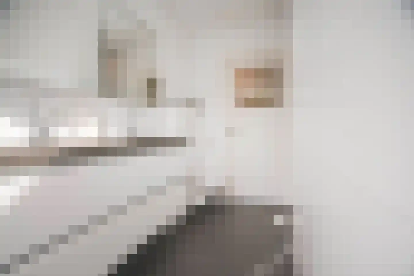 Rembrandtlaan 43 Velp thumbnail 44