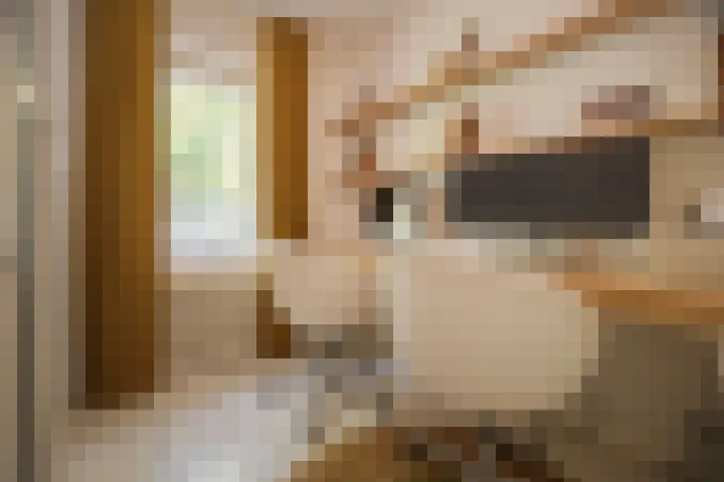 Rembrandtlaan 43 Velp thumbnail 46