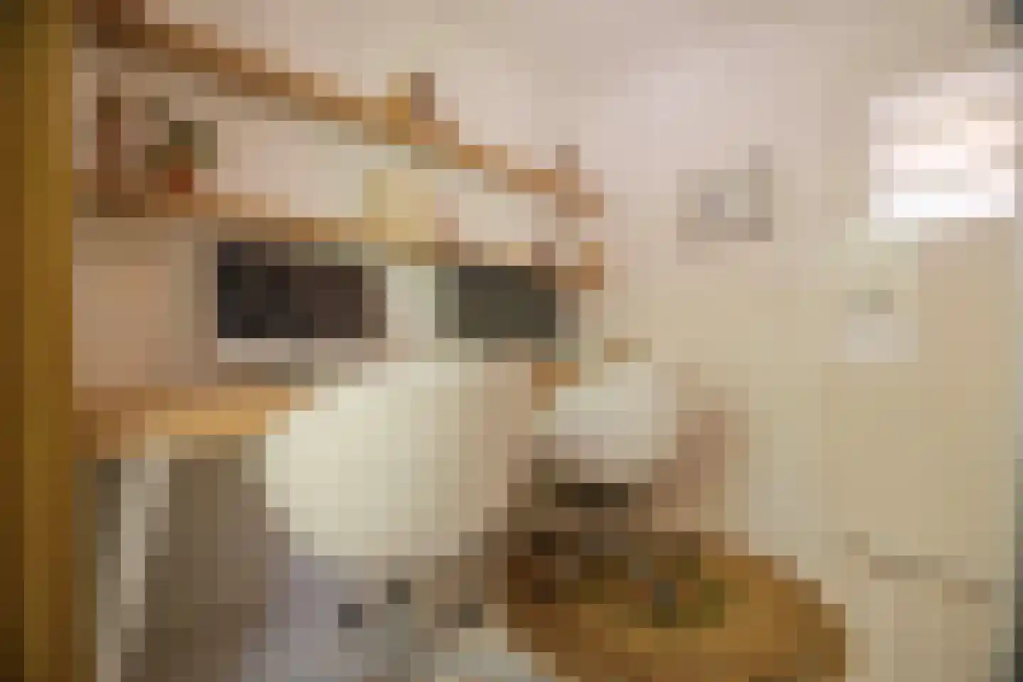 Rembrandtlaan 43 Velp thumbnail 47