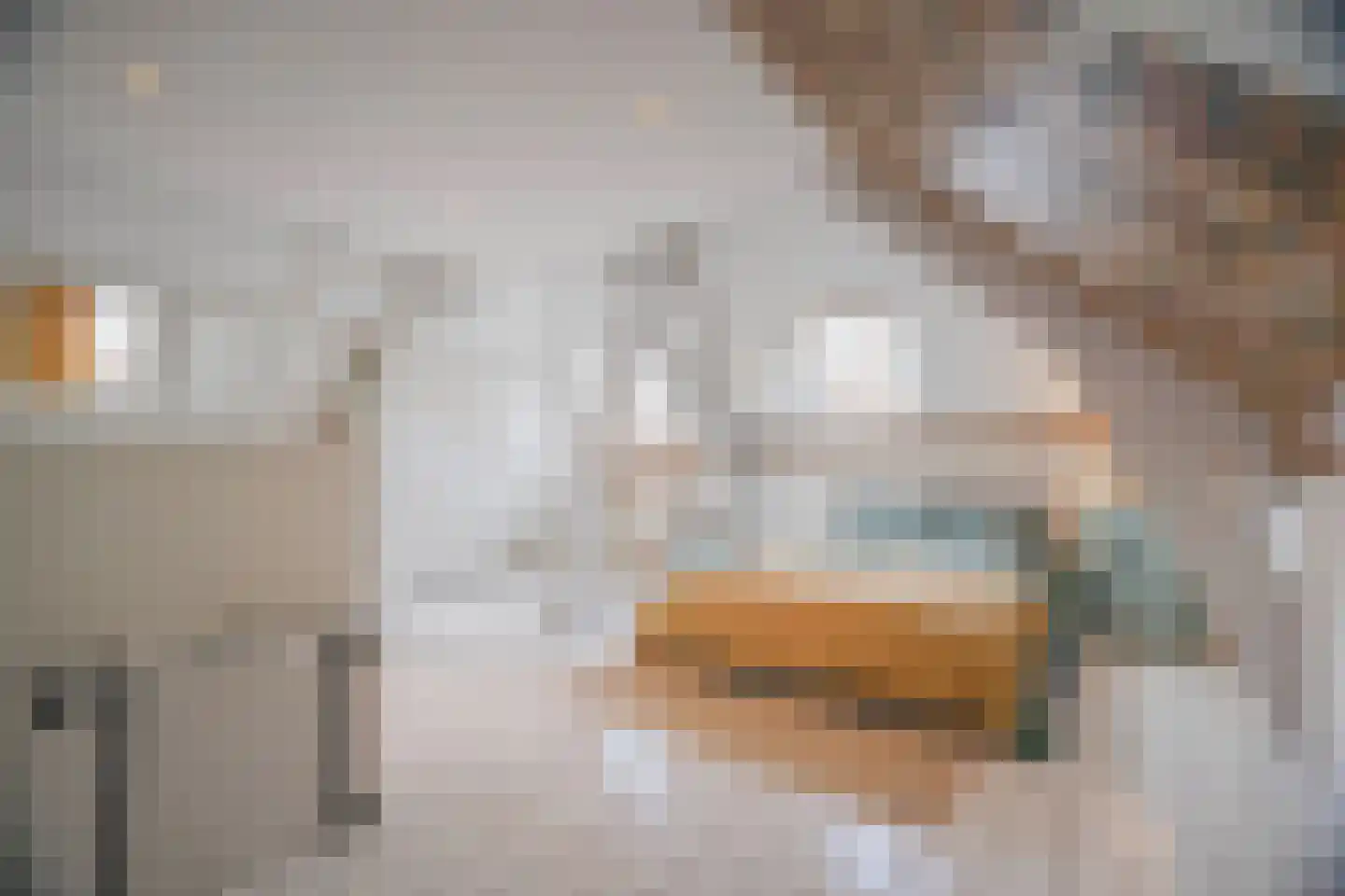 Rembrandtlaan 43 Velp thumbnail 5