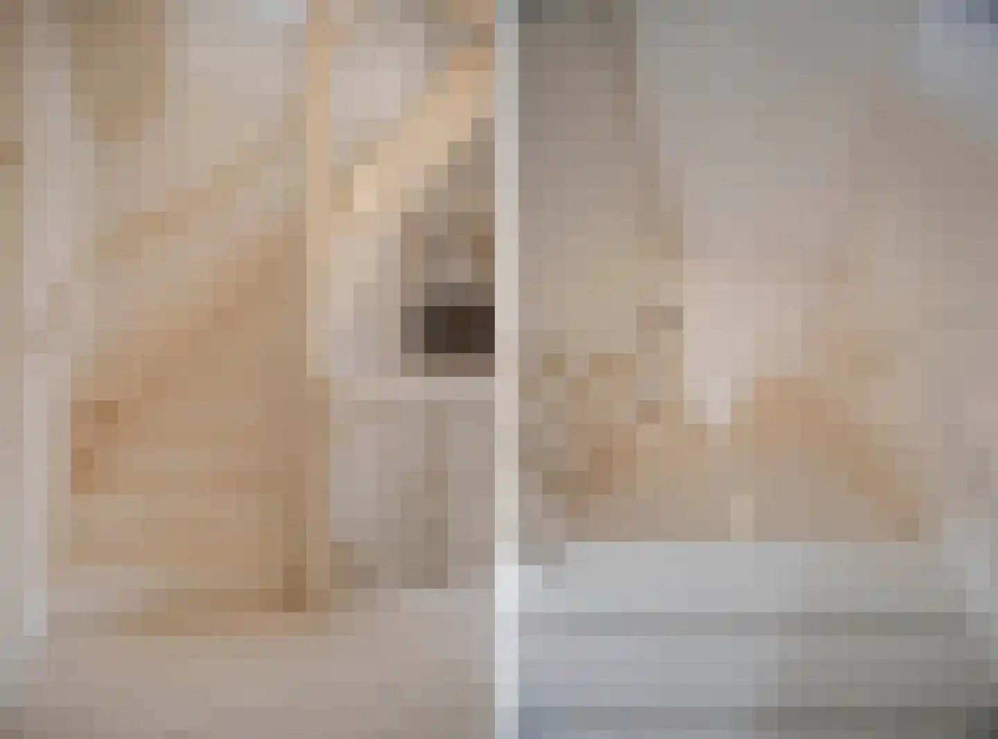Rembrandtlaan 43 Velp thumbnail 51