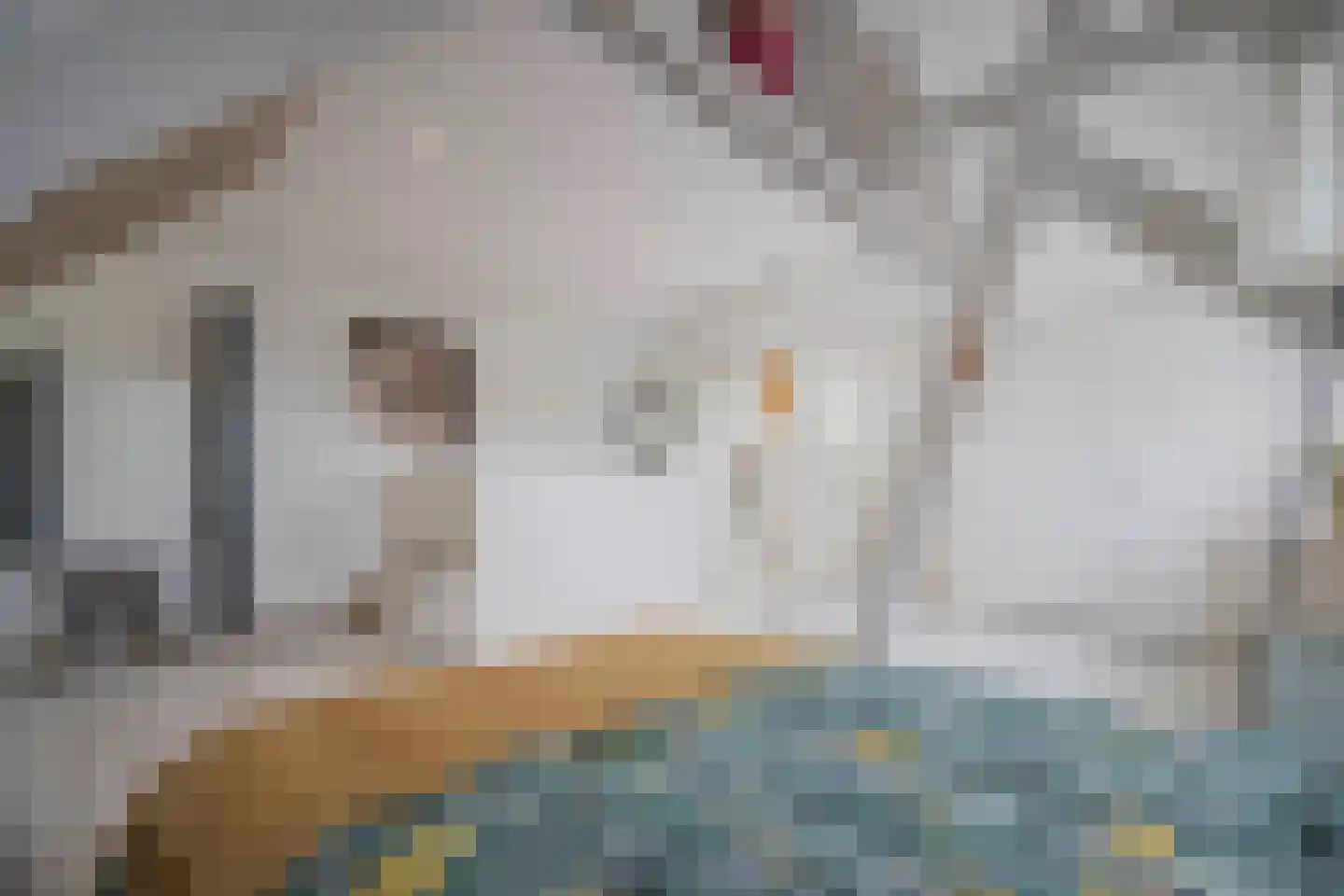Rembrandtlaan 43 Velp thumbnail 52