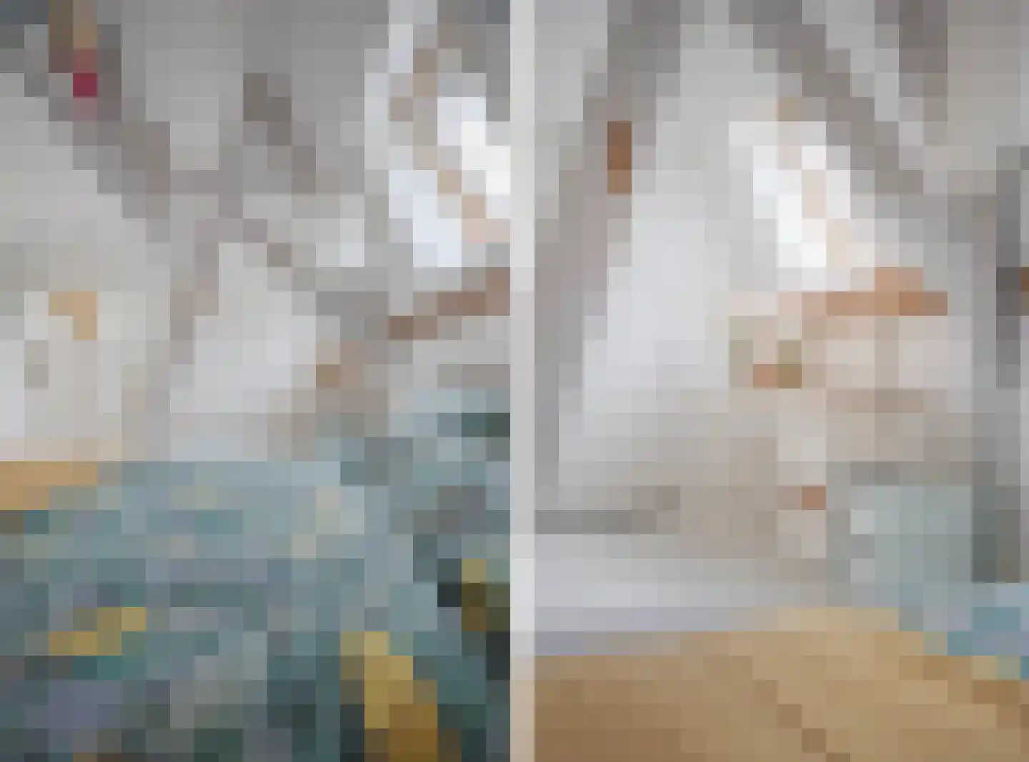 Rembrandtlaan 43 Velp thumbnail 53