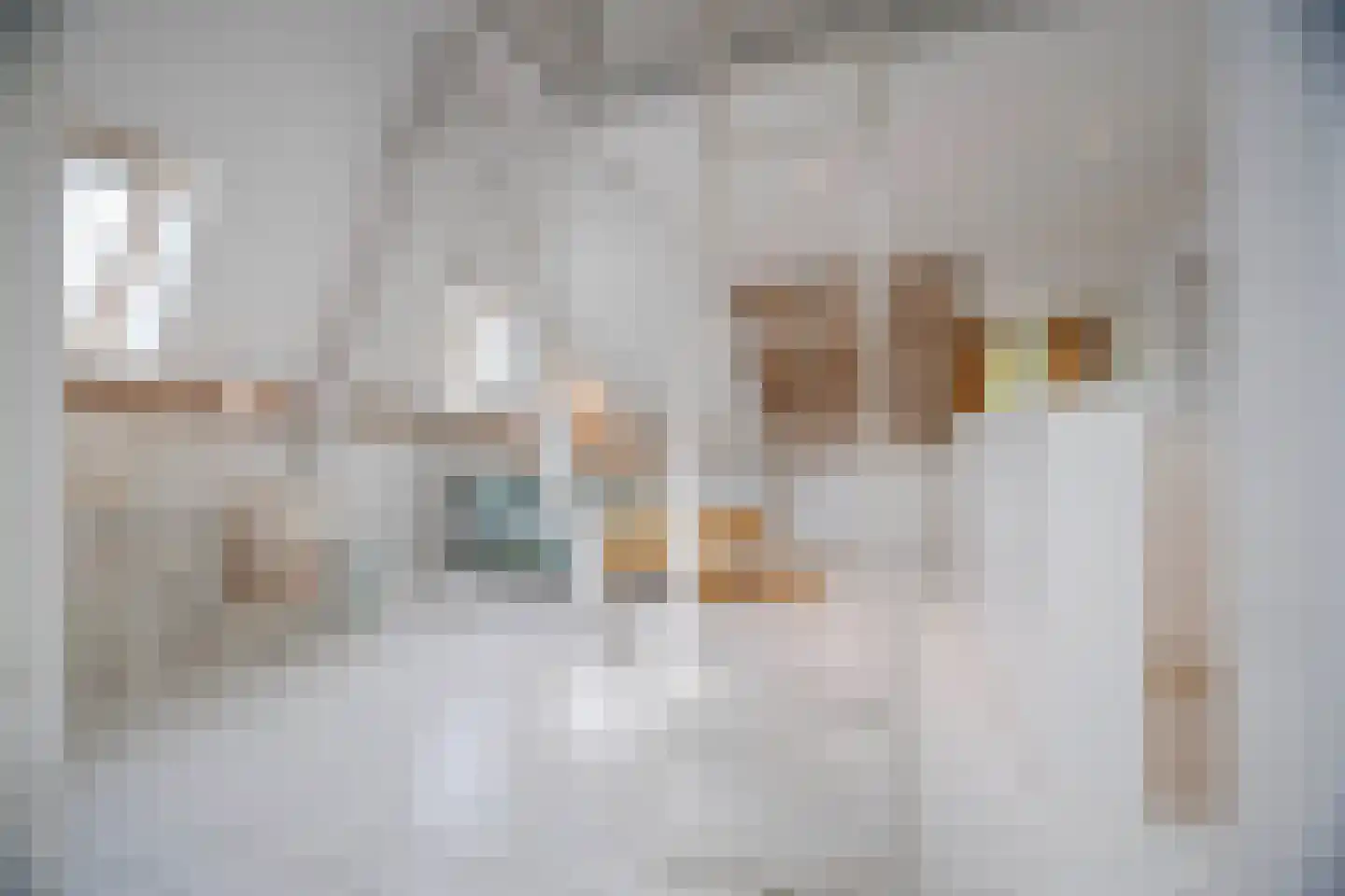 Rembrandtlaan 43 Velp thumbnail 54