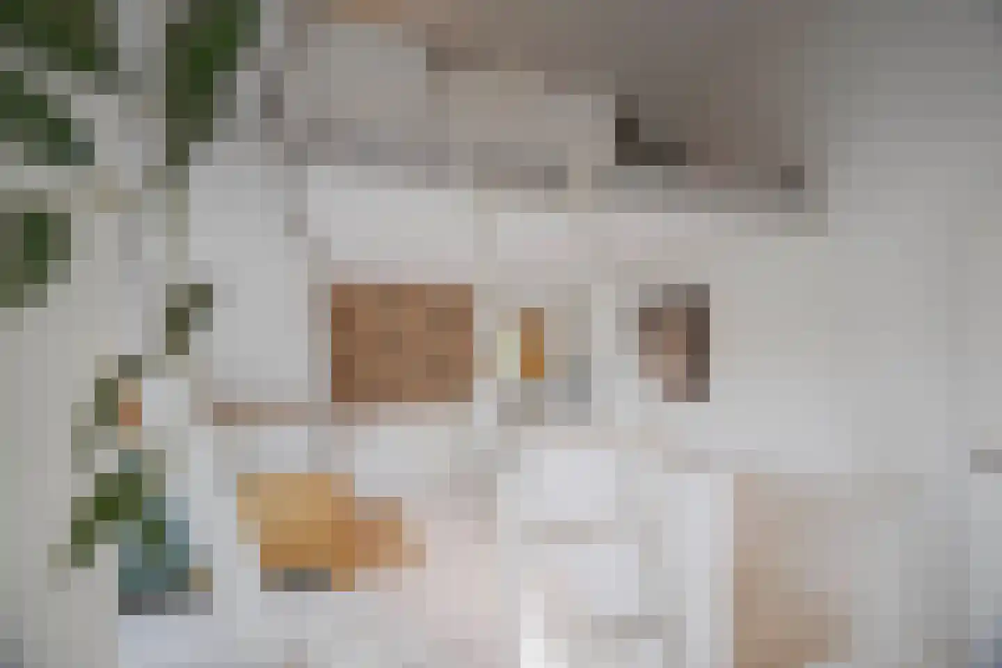 Rembrandtlaan 43 Velp thumbnail 55