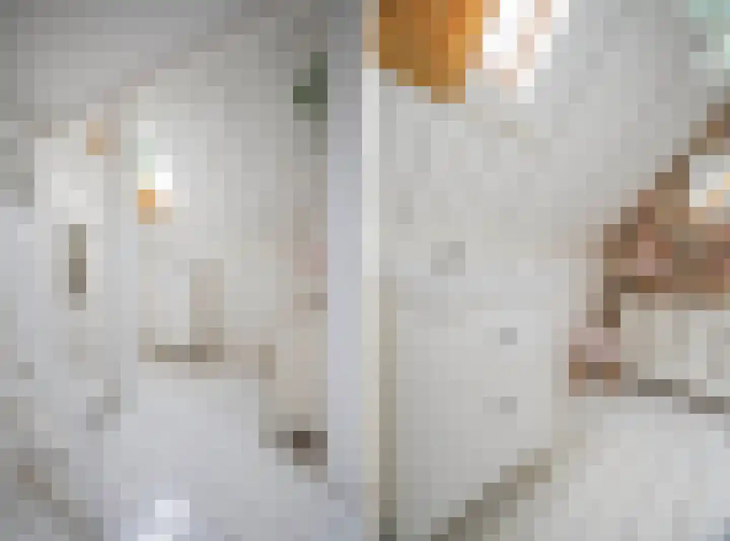 Rembrandtlaan 43 Velp thumbnail 56