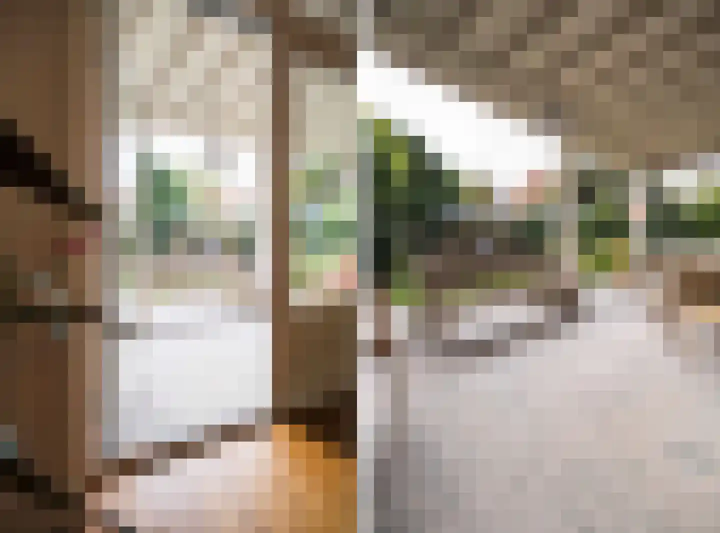 Rembrandtlaan 43 Velp thumbnail 58