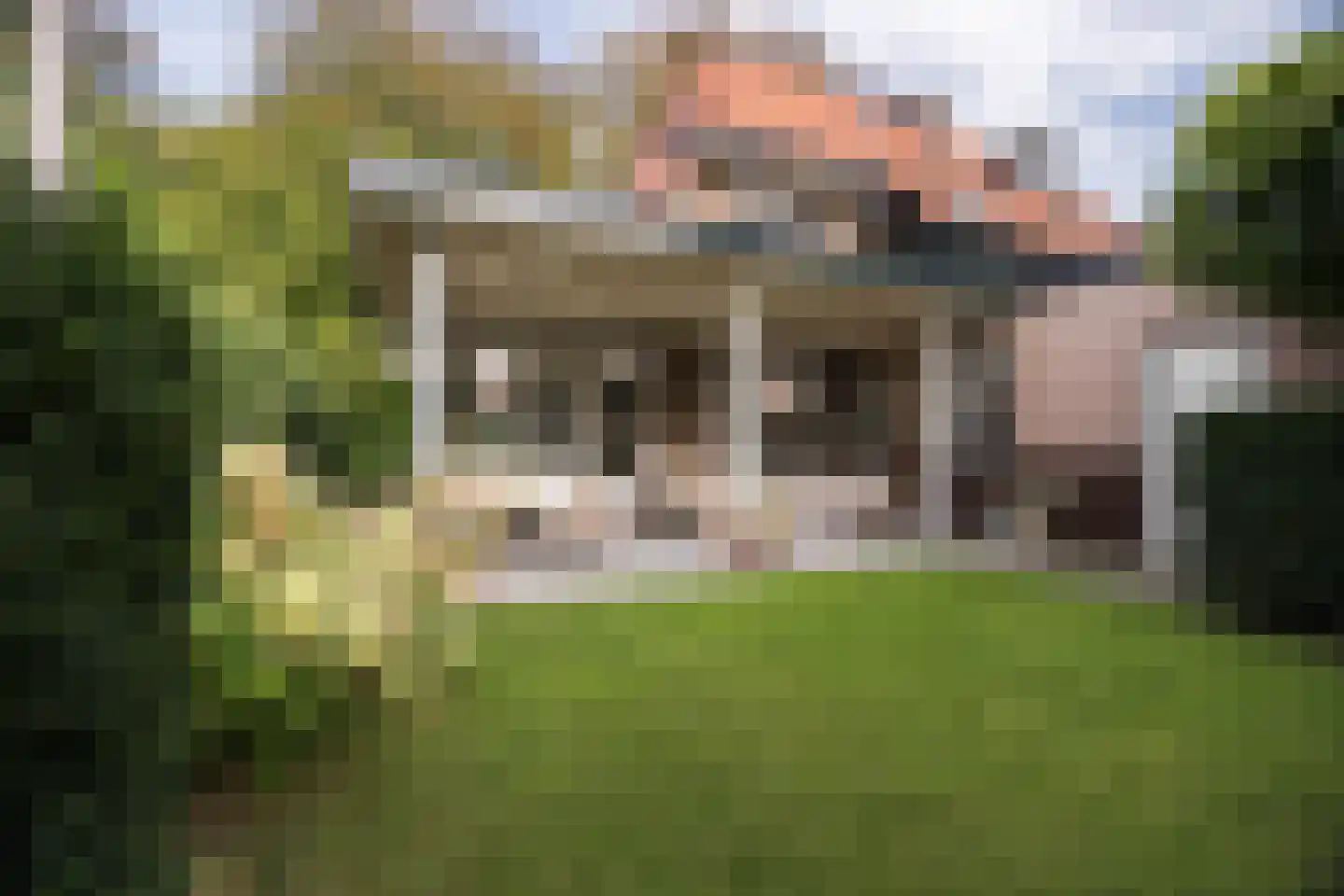 Rembrandtlaan 43 Velp thumbnail 6