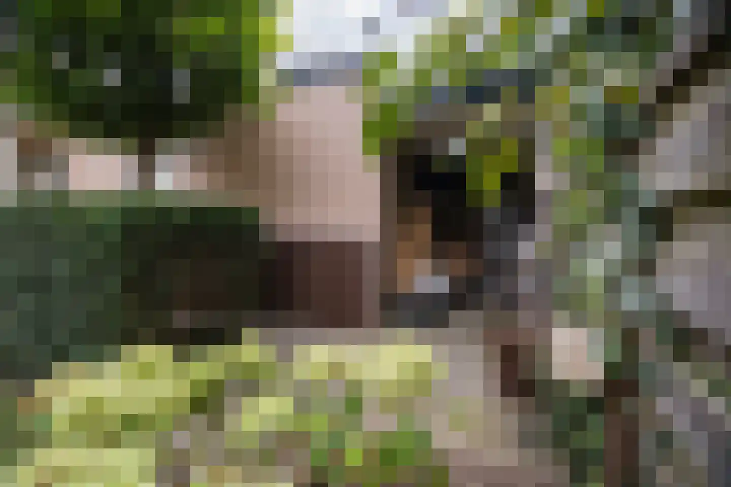 Rembrandtlaan 43 Velp thumbnail 60