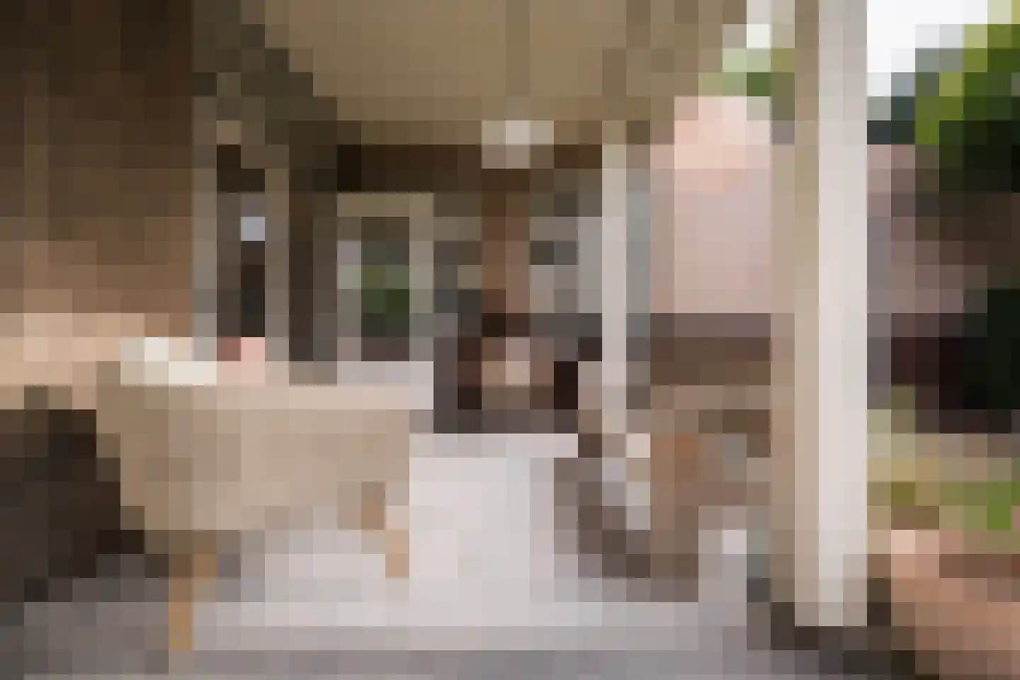 Rembrandtlaan 43 Velp thumbnail 61