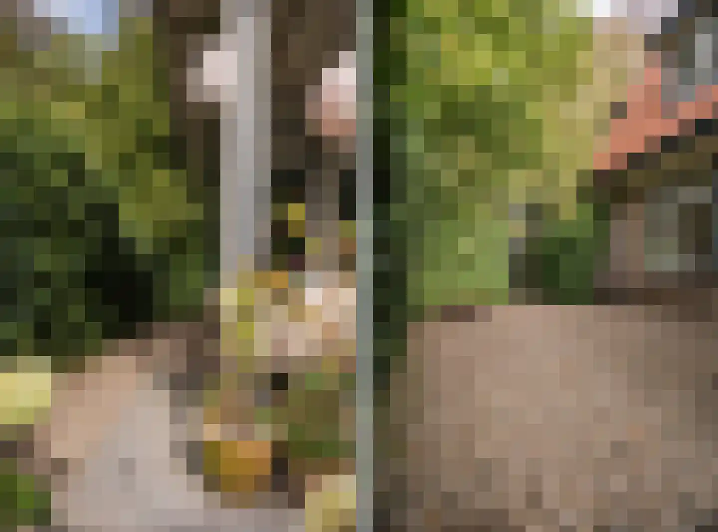 Rembrandtlaan 43 Velp thumbnail 63