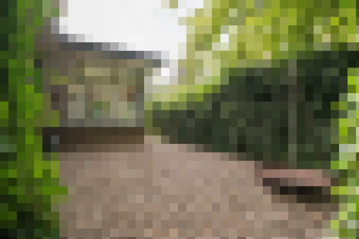 Rembrandtlaan 43 Velp thumbnail 65
