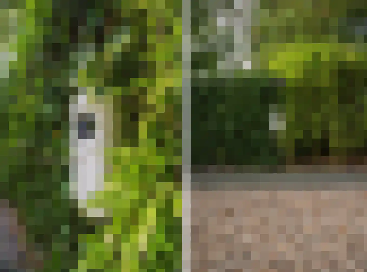 Rembrandtlaan 43 Velp thumbnail 67