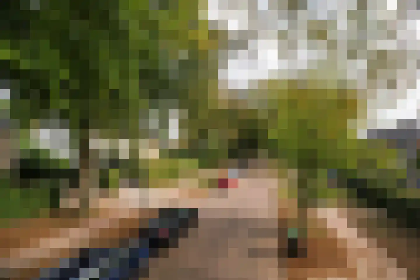 Rembrandtlaan 43 Velp thumbnail 68