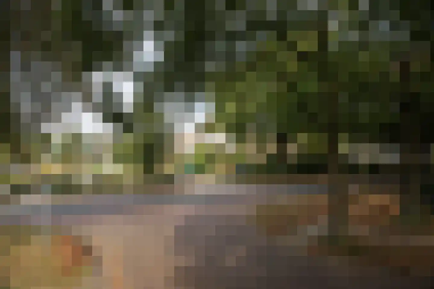 Rembrandtlaan 43 Velp thumbnail 69