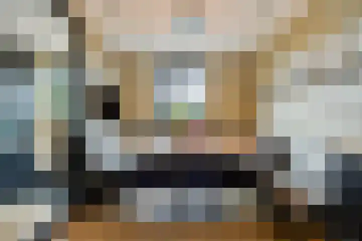 Rembrandtlaan 44 Bergschenhoek thumbnail 10
