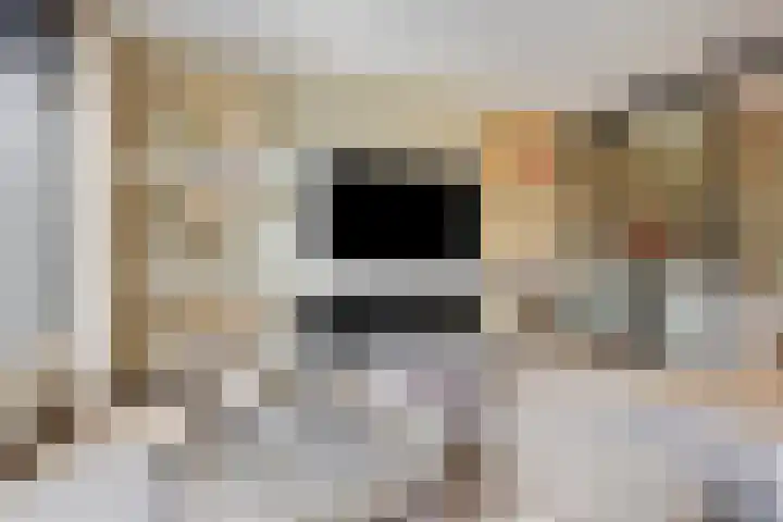 Rembrandtlaan 44 Bergschenhoek thumbnail 21