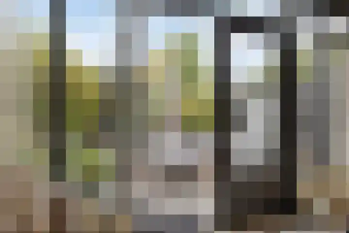 Rembrandtlaan 44 Bergschenhoek thumbnail 23