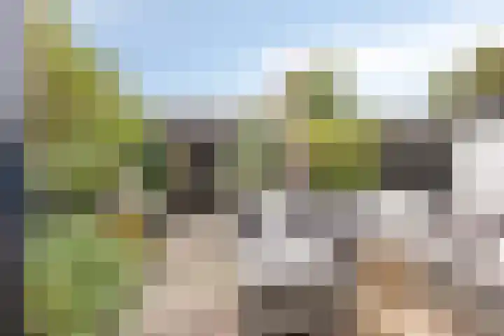 Rembrandtlaan 44 Bergschenhoek thumbnail 24