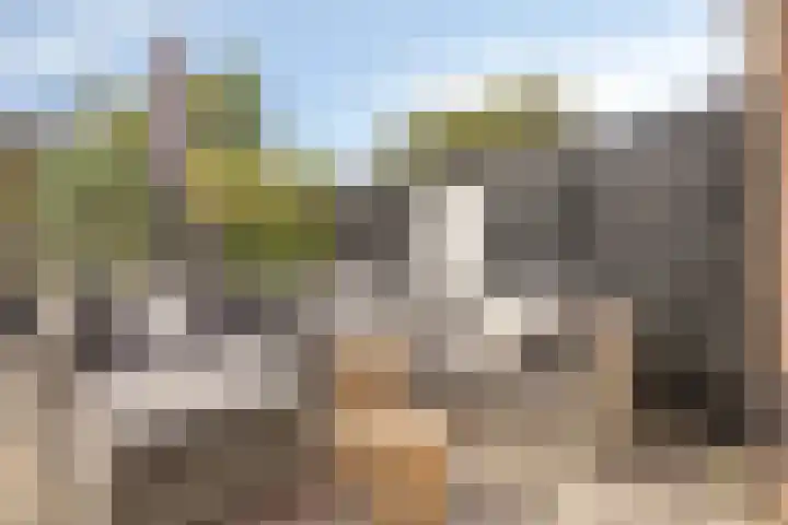 Rembrandtlaan 44 Bergschenhoek thumbnail 25