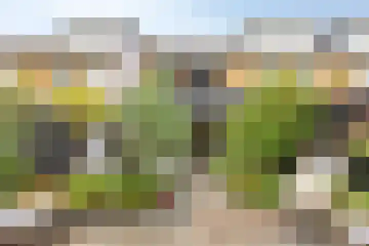 Rembrandtlaan 44 Bergschenhoek thumbnail 26