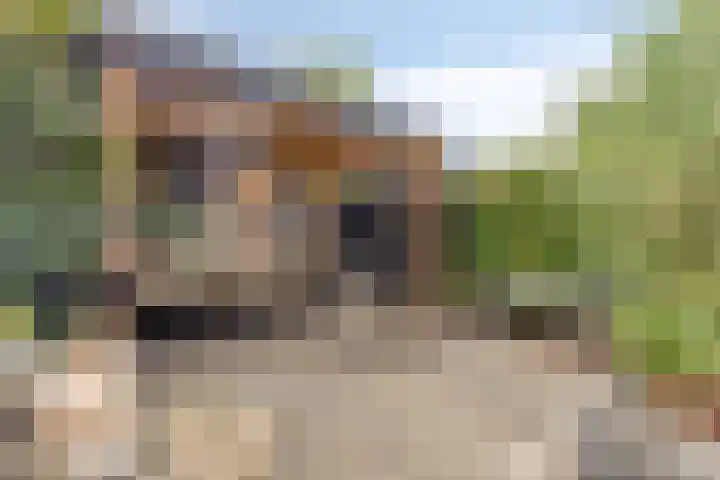 Rembrandtlaan 44 Bergschenhoek thumbnail 28