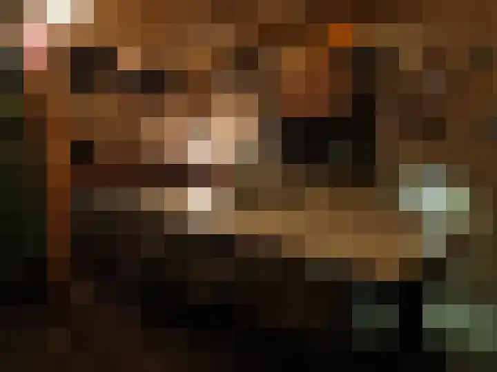 Rembrandtlaan 44 Bergschenhoek thumbnail 29