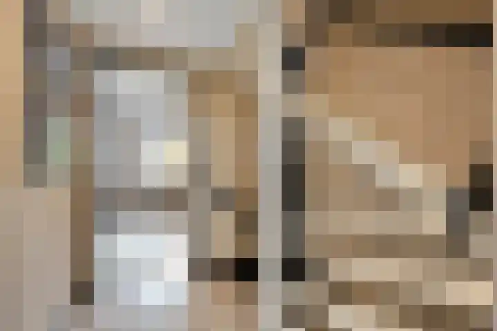 Rembrandtlaan 44 Bergschenhoek thumbnail 31