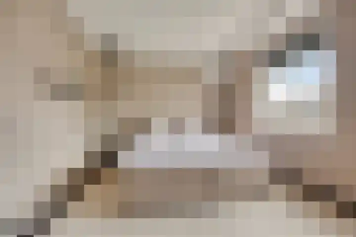 Rembrandtlaan 44 Bergschenhoek thumbnail 32