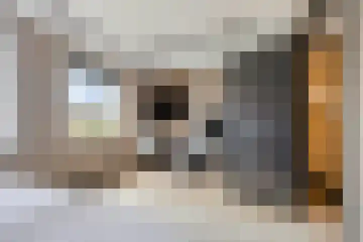 Rembrandtlaan 44 Bergschenhoek thumbnail 33