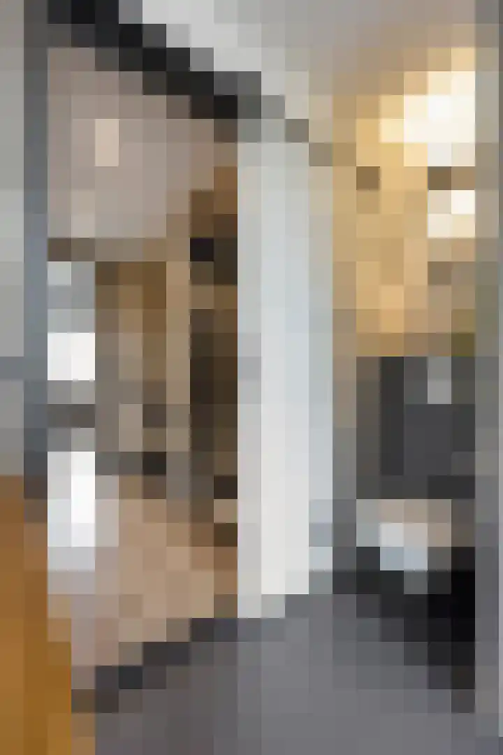Rembrandtlaan 44 Bergschenhoek thumbnail 36
