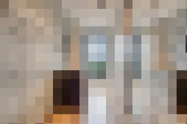 Rembrandtlaan 44 Bergschenhoek thumbnail 41