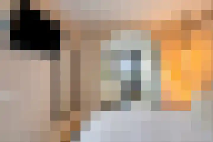 Rembrandtlaan 44 Bergschenhoek thumbnail 51
