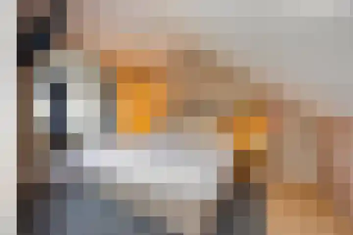 Rembrandtlaan 44 Bergschenhoek thumbnail 52