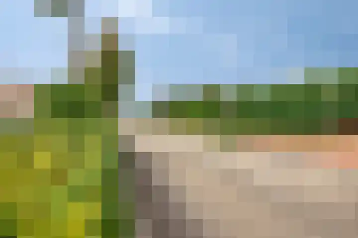 Rembrandtlaan 44 Bergschenhoek thumbnail 55