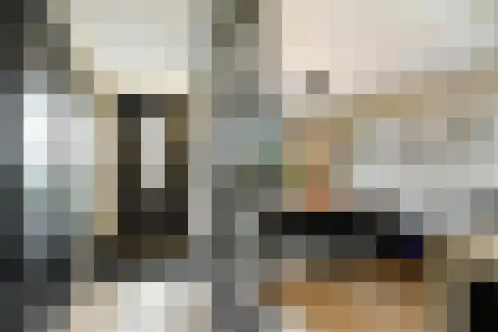 Rembrandtlaan 44 Bergschenhoek thumbnail 7