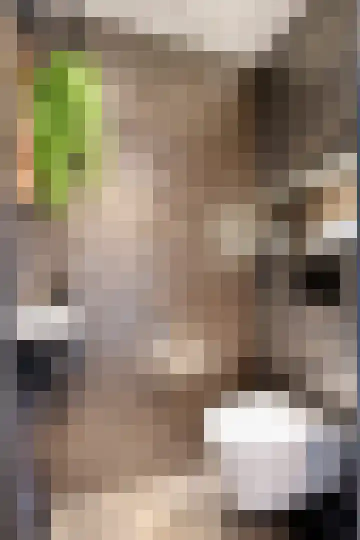 Rembrandtlaan 44 Bergschenhoek thumbnail 8