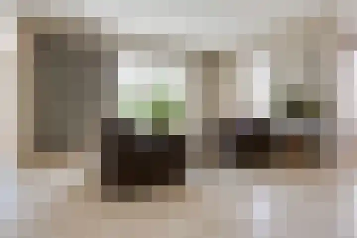 Rembrandtlaan 45 Bleiswijk thumbnail 16