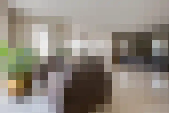 Rembrandtlaan 45 Bleiswijk thumbnail 17