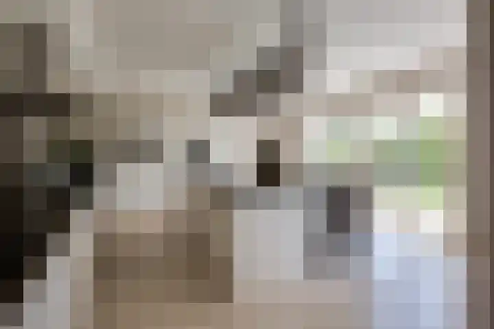 Rembrandtlaan 45 Bleiswijk thumbnail 20