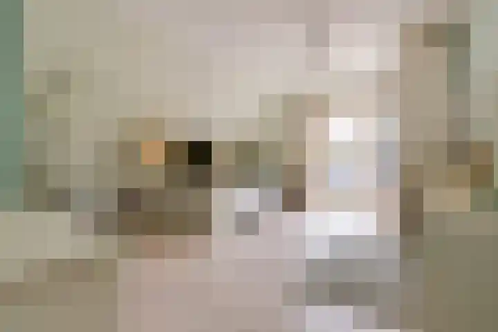 Rembrandtlaan 45 Bleiswijk thumbnail 27