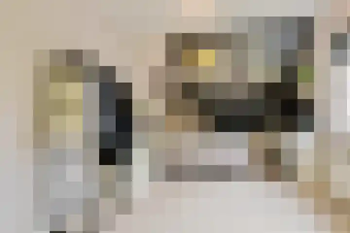 Rembrandtlaan 45 Bleiswijk thumbnail 31