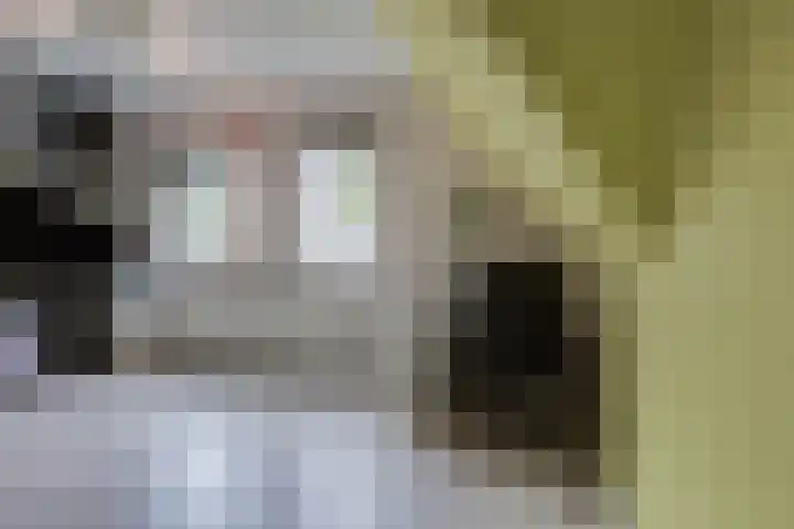 Rembrandtlaan 45 Bleiswijk thumbnail 32