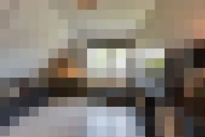 Rembrandtlaan 45 Bleiswijk thumbnail 33